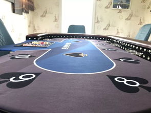 猎鹰飞行俱乐部上海虹桥营业部正式开业,怎一个美字了得