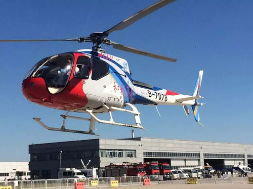 单发直升机机型资料库与飞行俱乐部指南